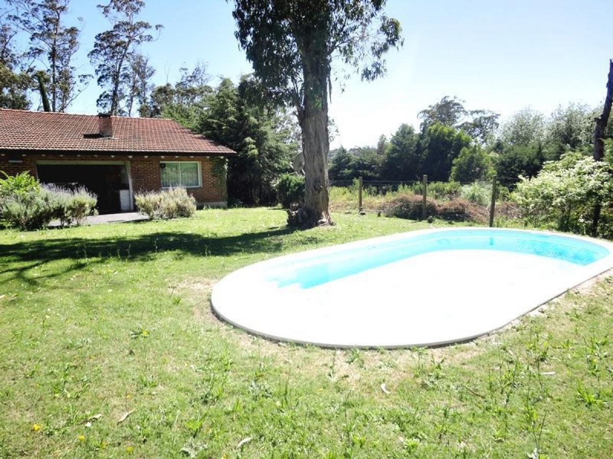 Дом с 4 спальнями в Мальдонадо, Уругвай № 3036