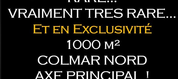 1000m² Commercial property in Colmar, France No. 89821 3