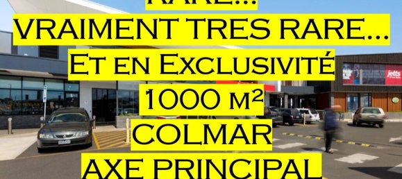 1000m² Commercial property in Colmar, France No. 89821 2