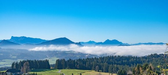 Terrain à Thalgau, Austria No. 96230 4
