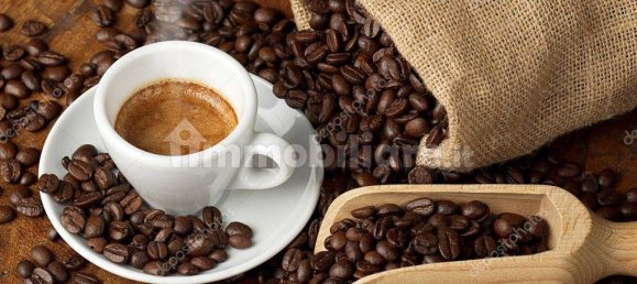 2 rooms Commercial property in Savona, Italy No. 189156 2