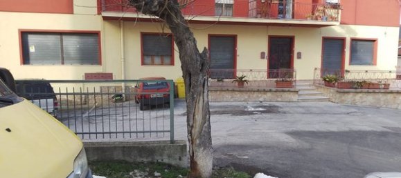 5-Zimmer Gewerbliche Immobilie in Castelmauro, Italy, Nr. 256236 11