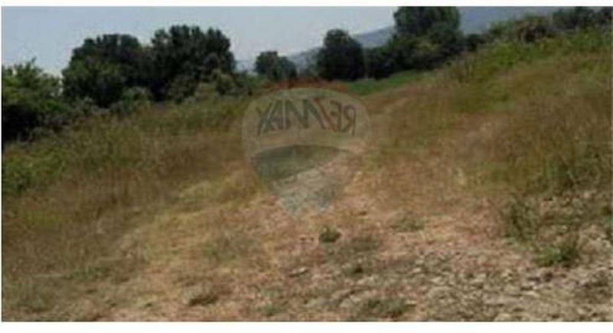 Studio à Florencio Varela, Argentina No. 7947