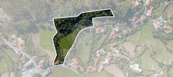 4 bedrooms House in Guilhofrei, Portugal No. 37233 29