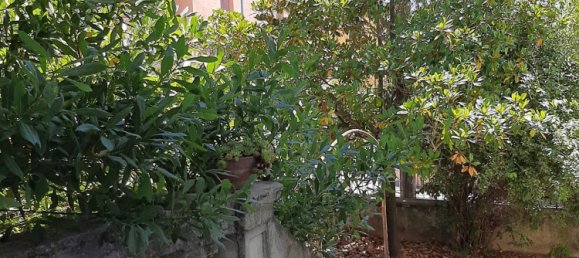 3 bedrooms Apartment in Foligno, Italy No. 7948 15