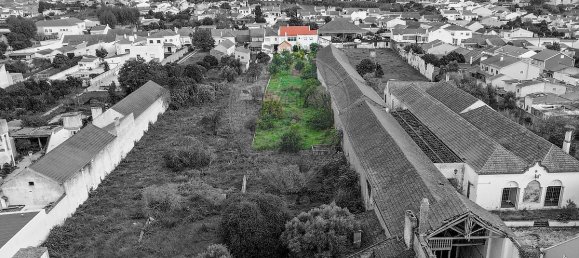 4 غرف نوم منزل في Alpiarca, Portugal رقم 31848 20