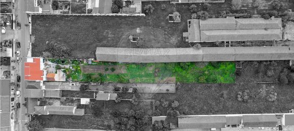 4 غرف نوم منزل في Alpiarca, Portugal رقم 31848 22