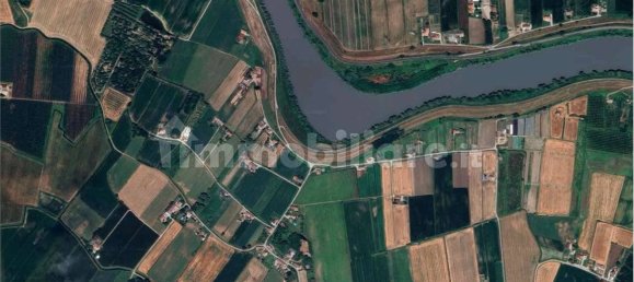 3 bedrooms Apartment in Lendinara, Italy No. 275504 7