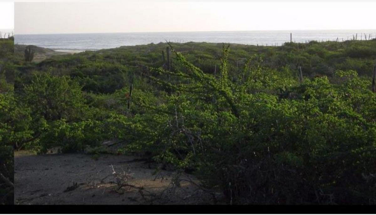 Grundstück in La Paz, Mexico, Nr. 121402