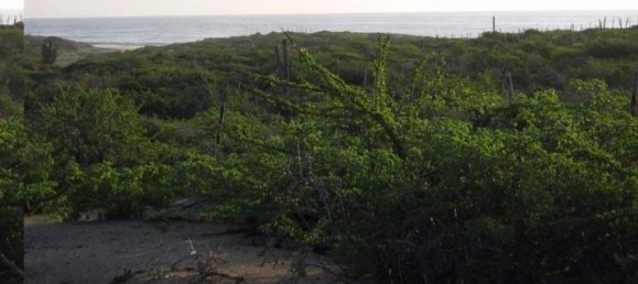 Grundstück in La Paz, Mexico, Nr. 121402 2