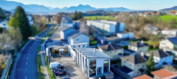 Propiedad comercial en Hallwang, Austria 493 m² No. 66620 16