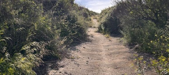  قطعة أرض في L'Alcora, Spain رقم 165367 4