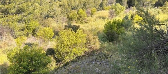  قطعة أرض في L'Alcora, Spain رقم 165367 22