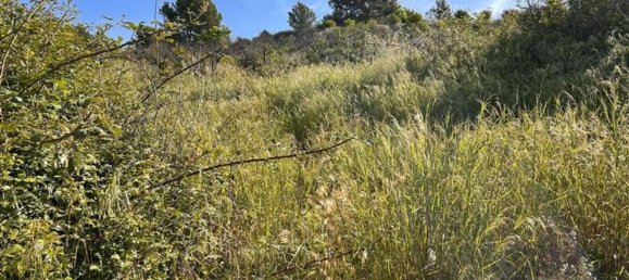  قطعة أرض في L'Alcora, Spain رقم 165367 5