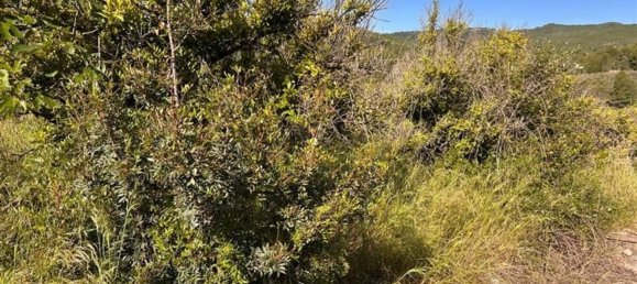  قطعة أرض في L'Alcora, Spain رقم 165367 2