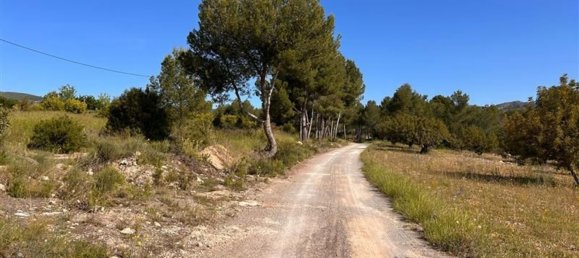  قطعة أرض في L'Alcora, Spain رقم 165367 23