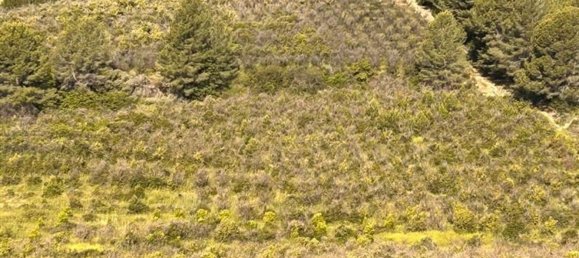  قطعة أرض في L'Alcora, Spain رقم 165367 20