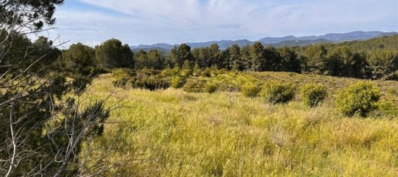  قطعة أرض في L'Alcora, Spain رقم 165367 10