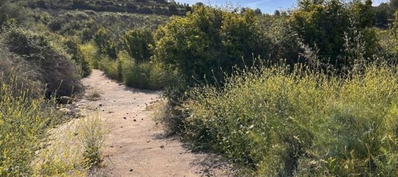  قطعة أرض في L'Alcora, Spain رقم 165367 16