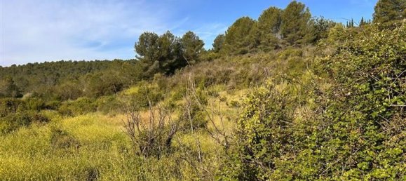  قطعة أرض في L'Alcora, Spain رقم 165367 9