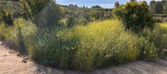  قطعة أرض في L'Alcora, Spain رقم 165367 27