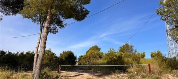  قطعة أرض في L'Alcora, Spain رقم 165367 13