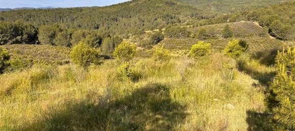  قطعة أرض في L'Alcora, Spain رقم 165367 6