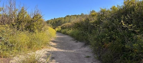  قطعة أرض في L'Alcora, Spain رقم 165367 28