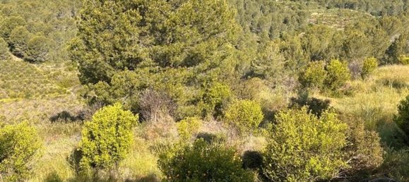  قطعة أرض في L'Alcora, Spain رقم 165367 15