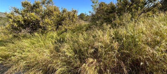  قطعة أرض في L'Alcora, Spain رقم 165367 12