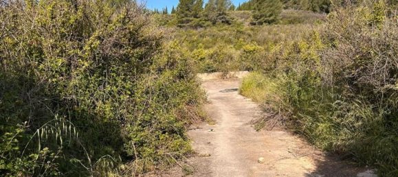  قطعة أرض في L'Alcora, Spain رقم 165367 18