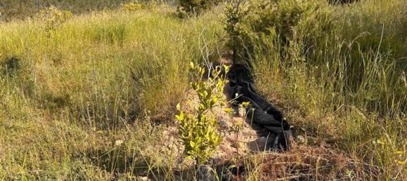  قطعة أرض في L'Alcora, Spain رقم 165367 19