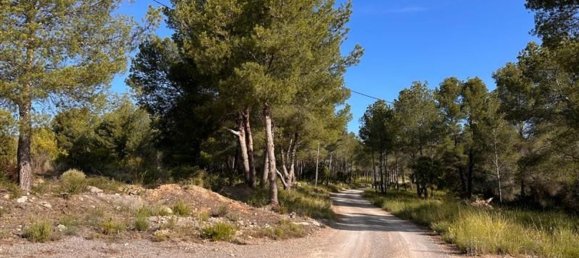  قطعة أرض في L'Alcora, Spain رقم 165367 7