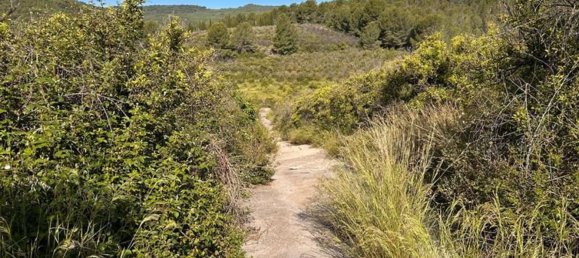  قطعة أرض في L'Alcora, Spain رقم 165367 8