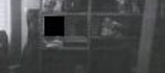 5غرفة منزل ذو طابقين في Capraia e Limite, Italy رقم 284386 9