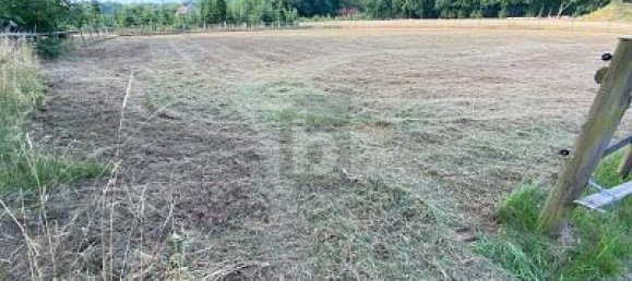 2468m² Land in Harburg, Germany No. 335027 2
