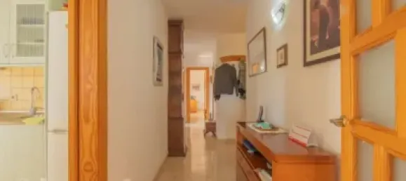 3 Schlafzimmer Wohnung in Nova Santa Ponsa, Spain, Nr. 173918 17