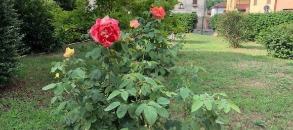 8-Zimmer Haus in Pizzighettone, Italy, Nr. 7863 11