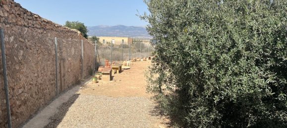 Lagerhaus in Totana, Spain 55m², Nr. 157289 10