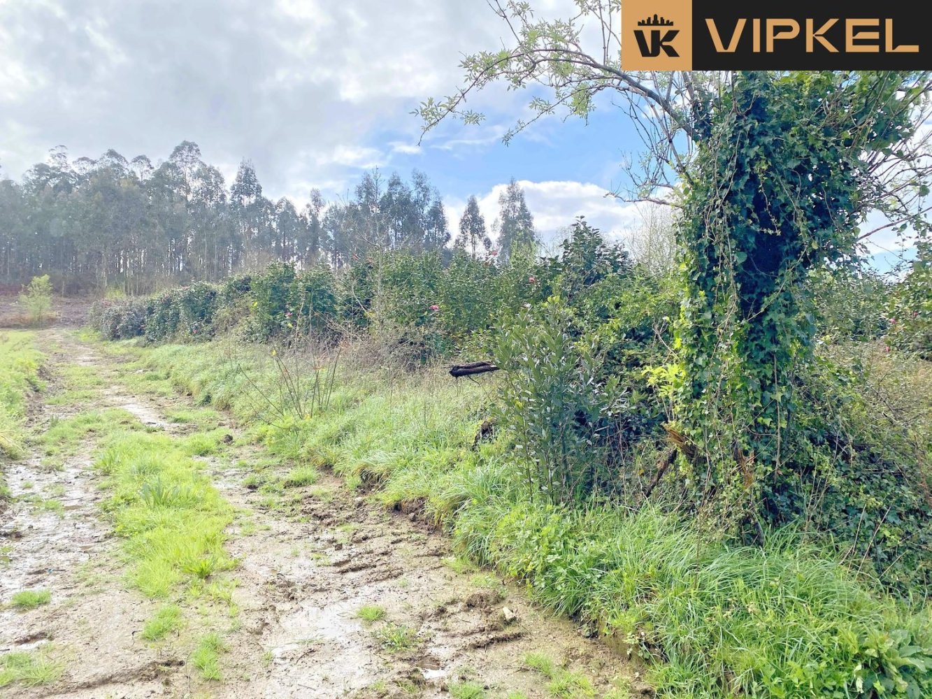  قطعة أرض في Abegondo, Spain 4270متر مربع رقم 46152