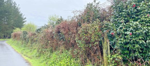  قطعة أرض في Abegondo, Spain 4270متر مربع رقم 46152 3