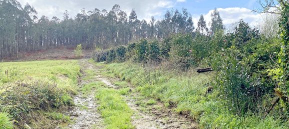  قطعة أرض في Abegondo, Spain 4270متر مربع رقم 46152 2