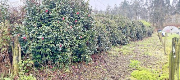  قطعة أرض في Abegondo, Spain 4270متر مربع رقم 46152 7