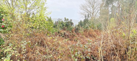  قطعة أرض في Abegondo, Spain 4270متر مربع رقم 46152 5