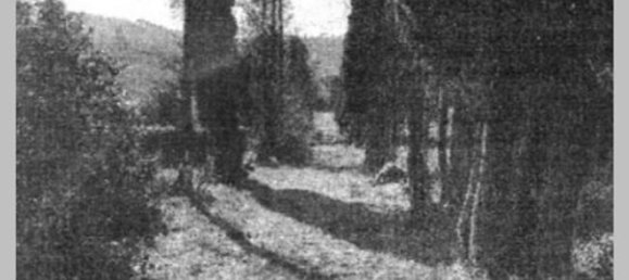 7 bedrooms Villa in Cortona, Italy No. 321371 20