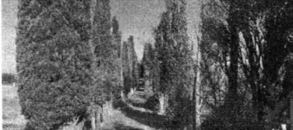 7 bedrooms Villa in Cortona, Italy No. 321371 11