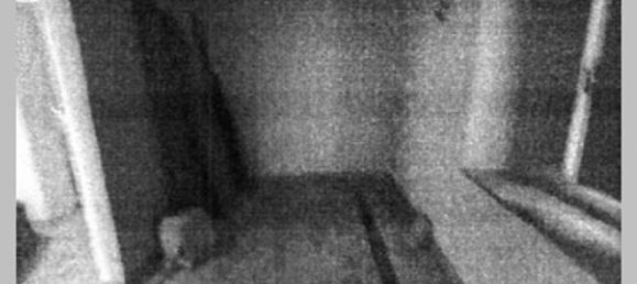 7 bedrooms Villa in Cortona, Italy No. 321371 18