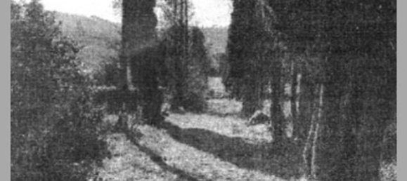 7 bedrooms Villa in Cortona, Italy No. 321371 29