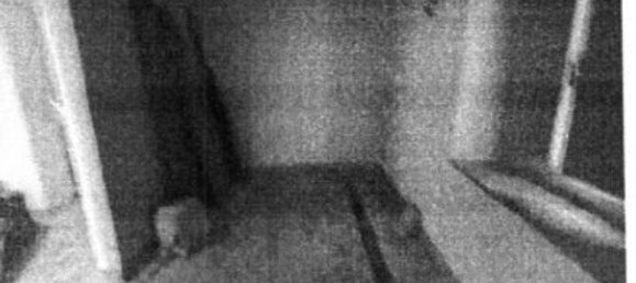 7 bedrooms Villa in Cortona, Italy No. 321371 8