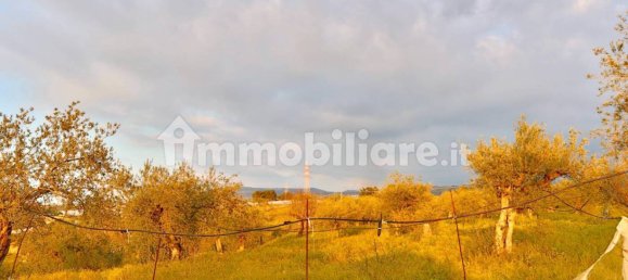 2 bedrooms Villa in Chiaramonte Gulfi, Italy No. 177252 5